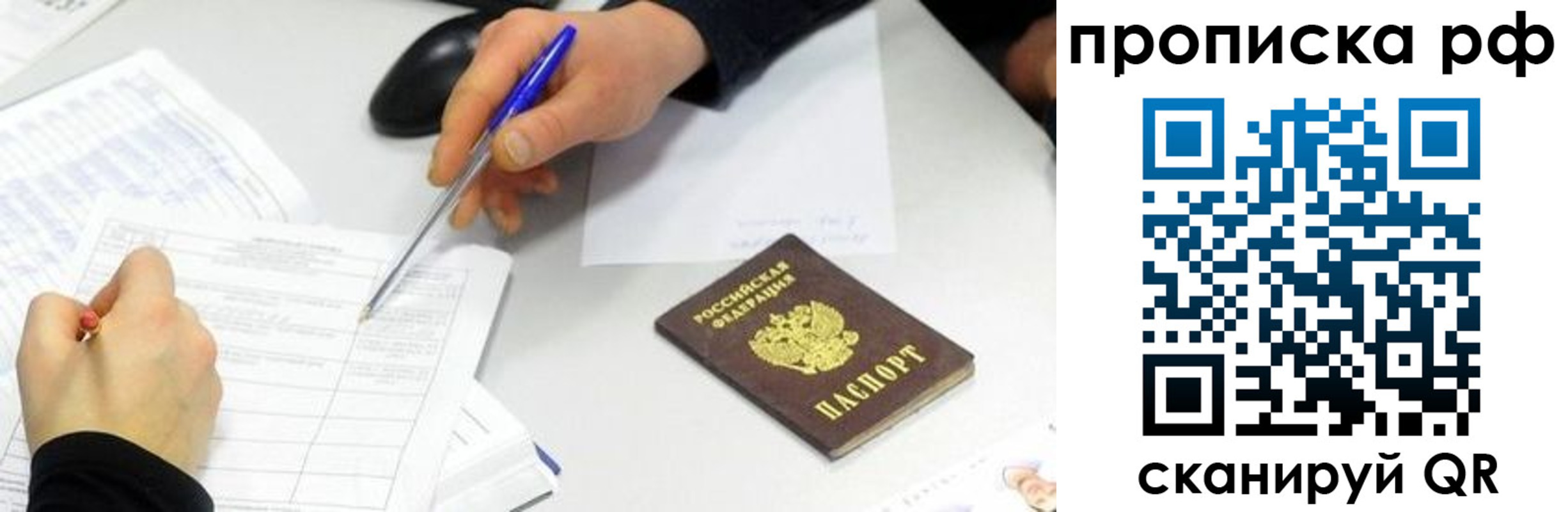 прописка штамп в Александровске